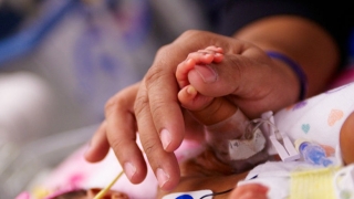 手拿着新出生的婴儿手